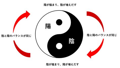 太極陰陽|陰陽論から読み解く太極の本質【陰陽論①】 